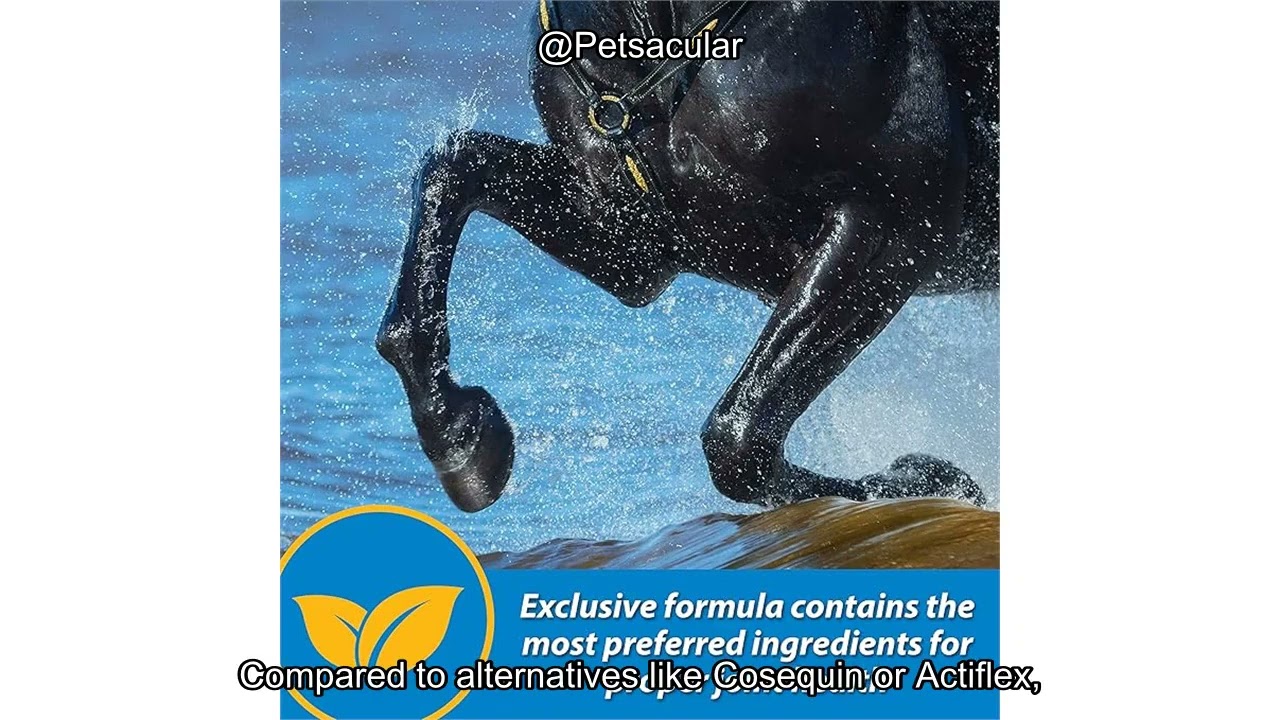 Farnam Fluidflex Joint Supplement Review: Is It Worth It for Everyday Equine Mobility?