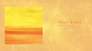 The Bible | Numbers 18 | NIV Audiobook
