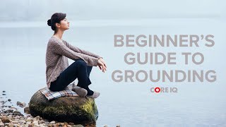 Details BEGINNER'S GUIDE TO GROUNDING | Dr. Randall Bell and JC Cavitt Guide