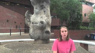 Rush Omega Phi Alpha at UF