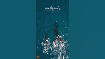 من اهتدى فإنما يهتدي لنفسه | مالك الزامل | سورة الإسراء | تلاوة خاشعة #اكسبلور #حالات_واتس