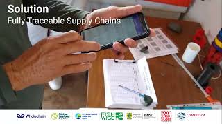 Sustainability and Traceability in Yucatecan Artisanal Fishing and Aquaculture