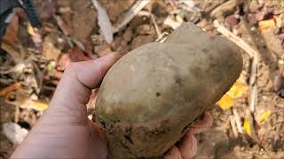arrowhead hunting - 10/31/2020