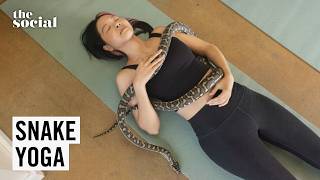 Snake Yoga Exists… Would You Try It? | The Social