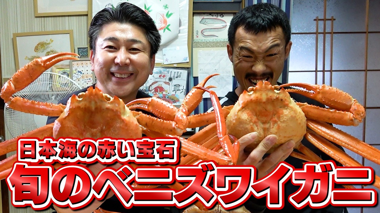 【顔よりでかい！】身も味噌もたくさん詰まったベニズワイガニが美味しすぎた！