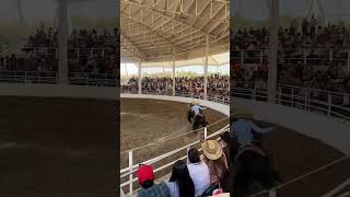 El Paso De La Muerte Ía Ández