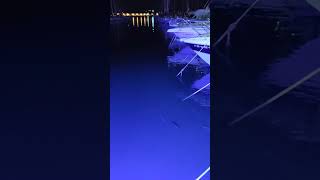 Подводная подсветка в порту