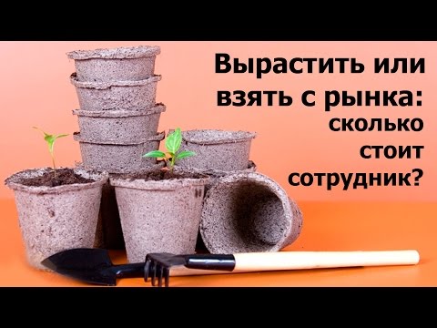 Вырастить или взять с рынка: сколько стоит сотрудник? - Елена Лимонова