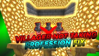 How To Fix If Villager Does Not Take Profession In Minecraft (Minecraft 1.19) @shadowraker3800