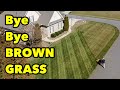 Reasons to Mow Your Lawn - FIRST MOW