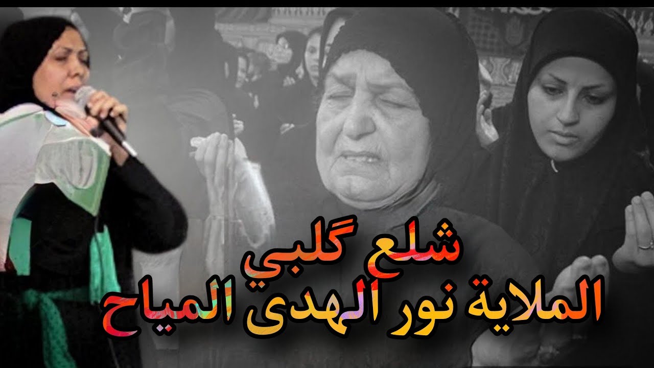 شلع گلبي يوم الحمل ضعونه 💔 قصيدة للعليلة بقلم الشاعرة والملاية نور الهدى المياح اشتركوا بالقناة