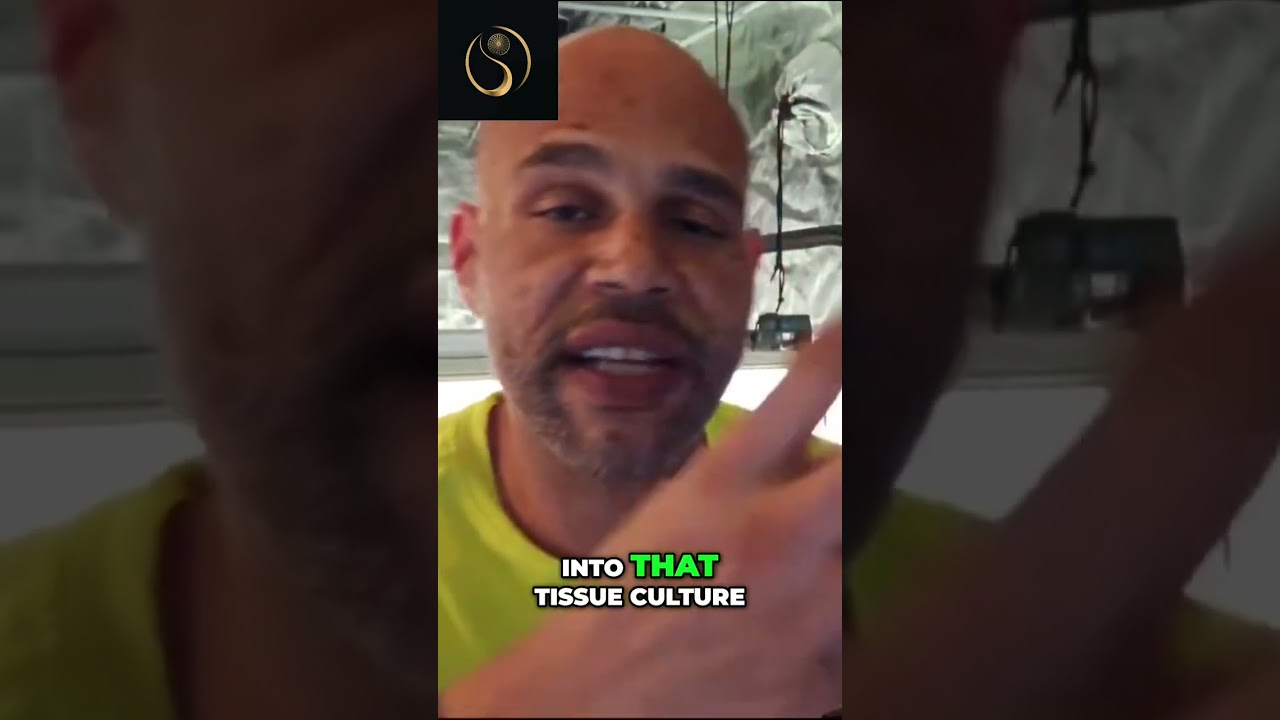 Unlocking the Secrets of Cannabis Cultivation: The Truth about Feminized Seeds