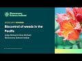 Advancing weed biocontrol for ecosystem resilience in the Pacific