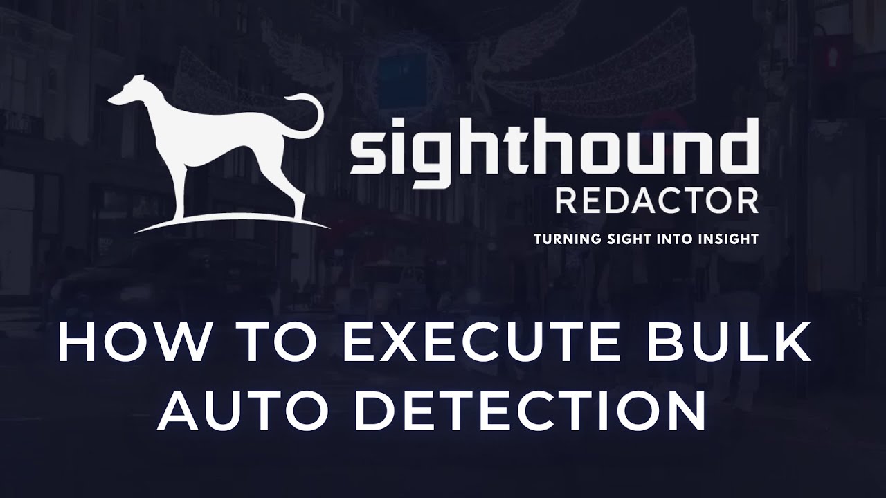 How to Execute Bulk Auto Detection | Sighthound Redactor | Beginner's Guide