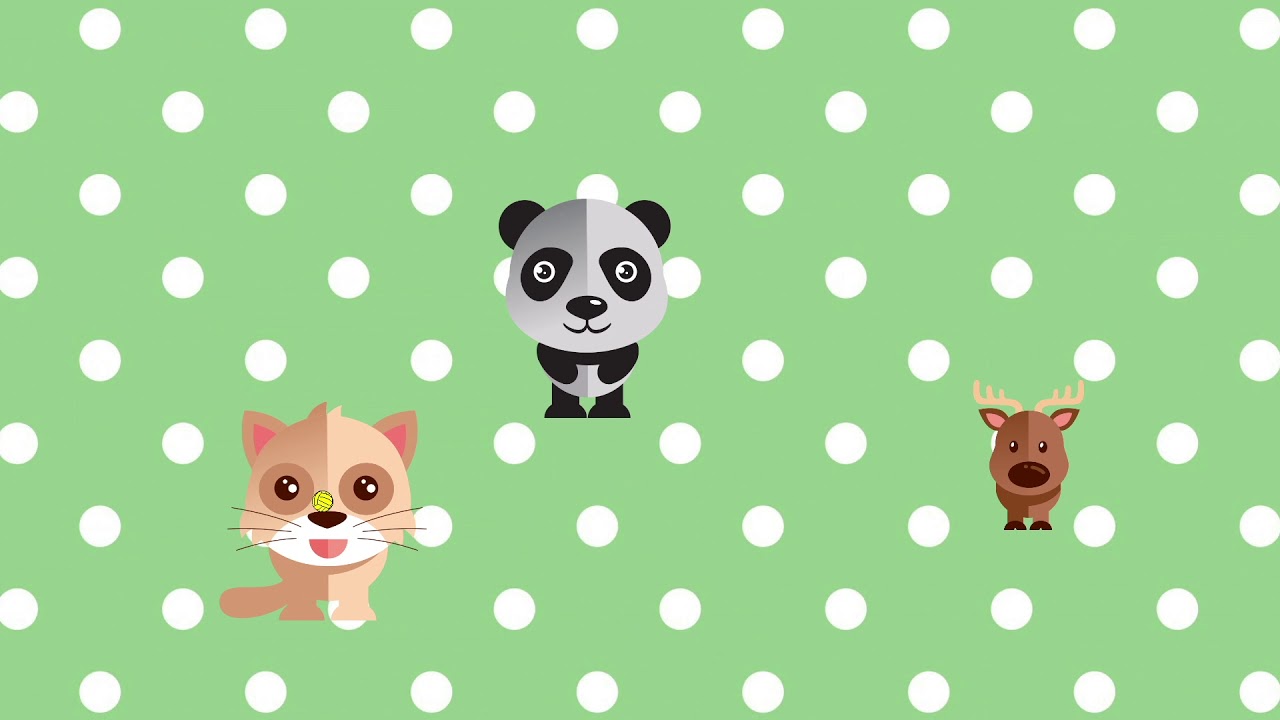 Zoo