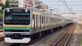 E231系1000番台特別快速が新子安駅を高速通過