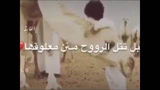 حّحب البداوهـ في شّشِرايني جرا??.