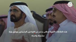 قوة ومتانة العلاقات الإماراتية - السعودية تمثل العمق التاريخي وصمام أمان للعرب