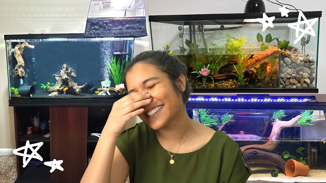 Reacting to YOUR 40 Gallon Turtle Tank Setups (ep. 9) 