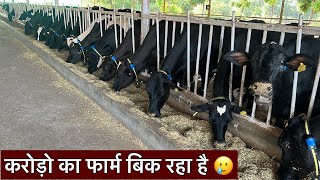 करोड़ो का फार्म बिक रहा है 🥲farm band ho raha hai #dairyfarmgujarat//gujrat hf cow farm //anand