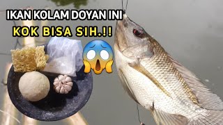 mancing ambyar terbaru 2021 ❗ ini yang terjadi jika pakai umpan ini