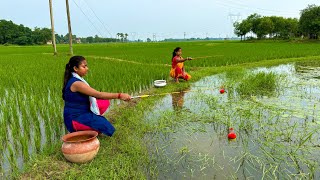 Fishing Video || Two beautiful lady are happily fishing in a pond in the middle of a field