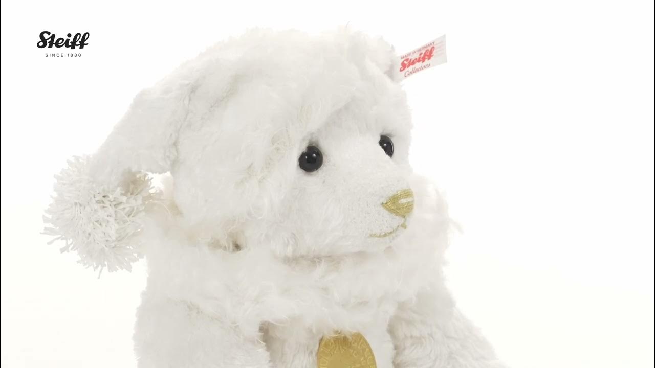 Spotlight On … 'Collinn', our Steiff Teddy Bear