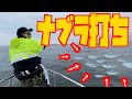 爆釣！ナブラ打ち！！