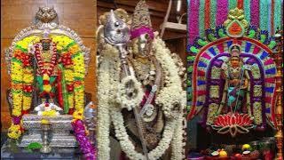 திருப்புகழ் 401 இருவினை அஞ்ச  (திருவருணை) Thiruppugazh iruvinaianja  (thiruvarunai)