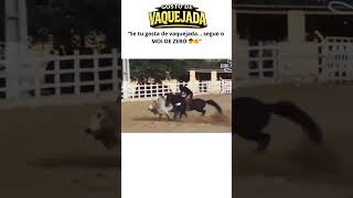 Vaqueiro testado #playvaquejada #vaquejada #vaqueiro #circuitobyd