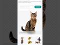 Best App For Editors!