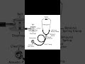 stethoscope #gnm #anmnursing #healthcare uses stethoscope 🩺