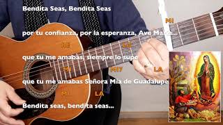 Bendita seas, Bendita seas