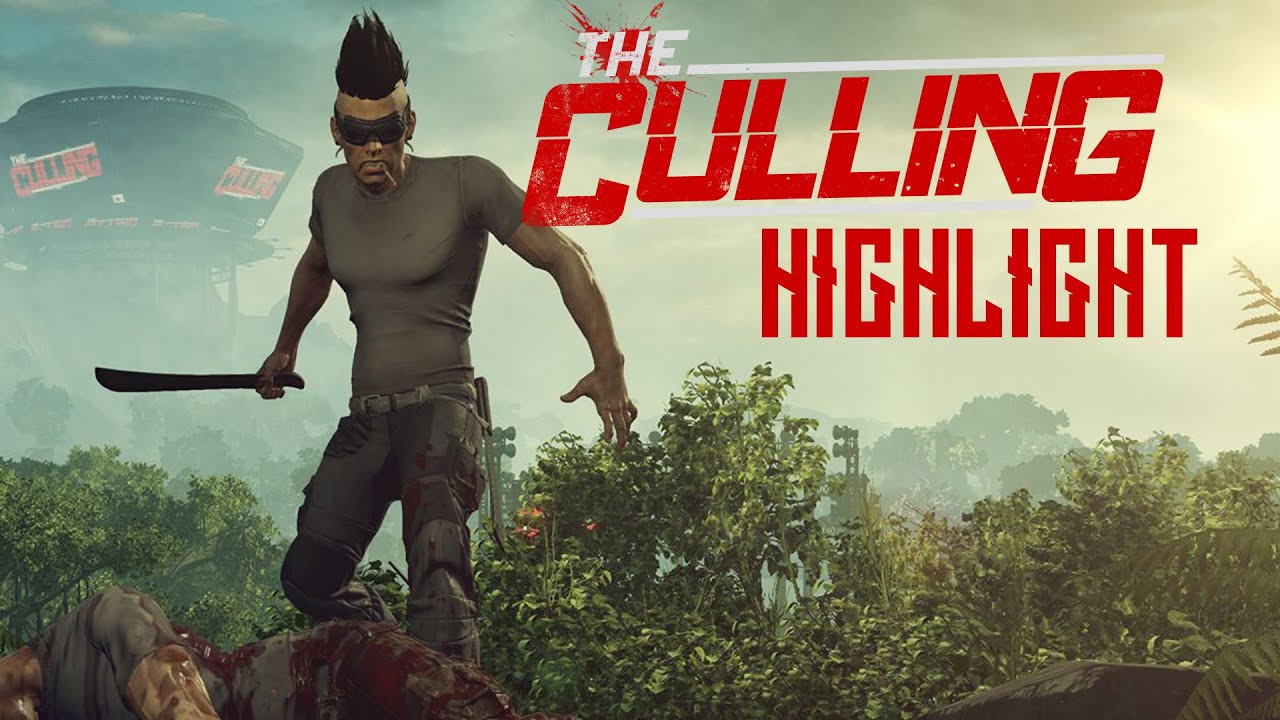 Entity culling 1.16 5. The Culling. ID Culling.