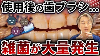 消毒した方がいい？正しい歯ブラシの洗い方・保管方法を歯医者が解説！#shorts