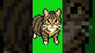 clique no like e vai aparecer um gato