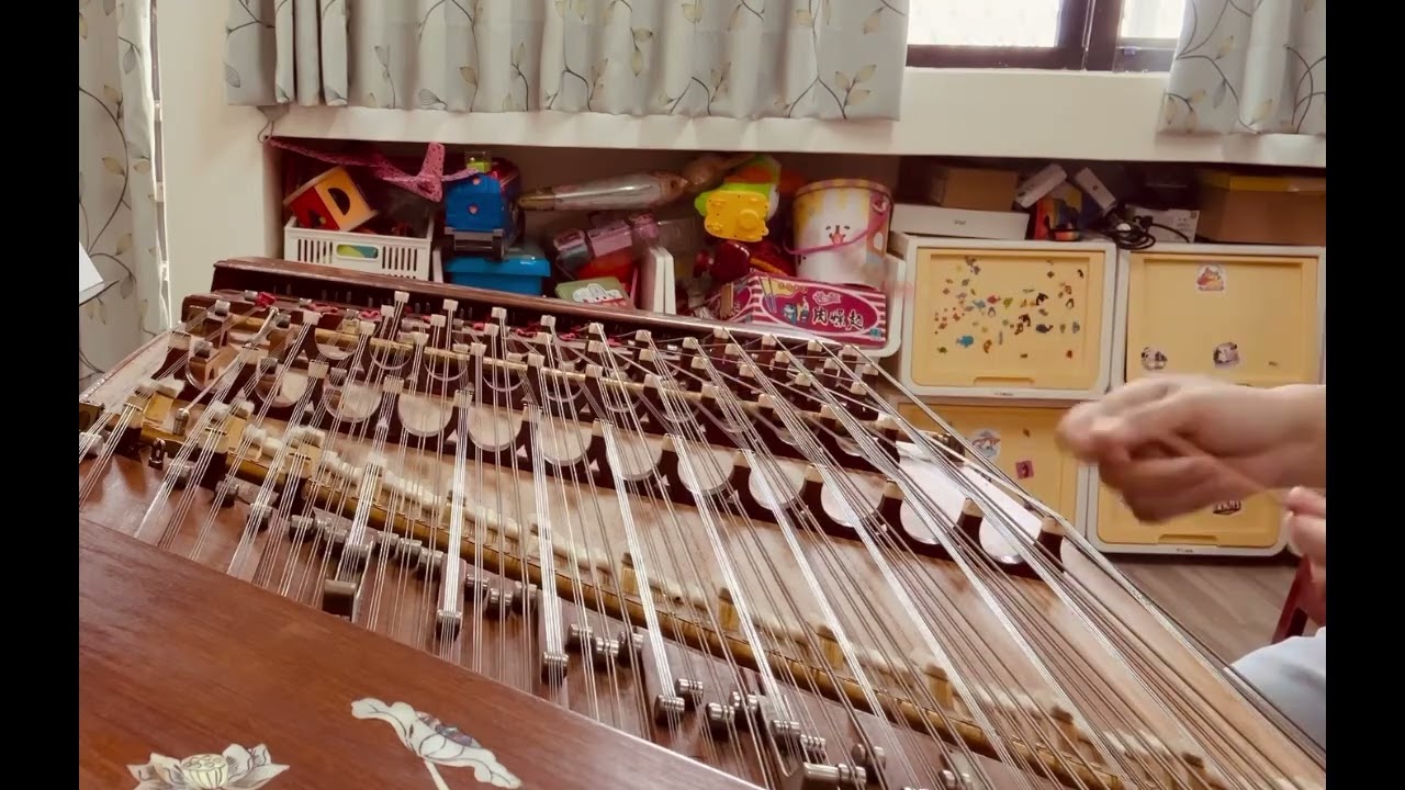 肜肜演奏-《鳳陽花鼓》113年全國學生音樂補賽國小指定曲之一🥳老少皆喜愛聽的曲目🎵