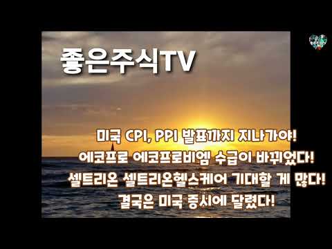   미국 CPI PPI 발표까지 지나가야 에코프로 에코프로비엠 수급이 바뀌었다 셀트리온 셀트리온헬스케어 기대할 게 많다 결국은 미국 증시에 달렸다