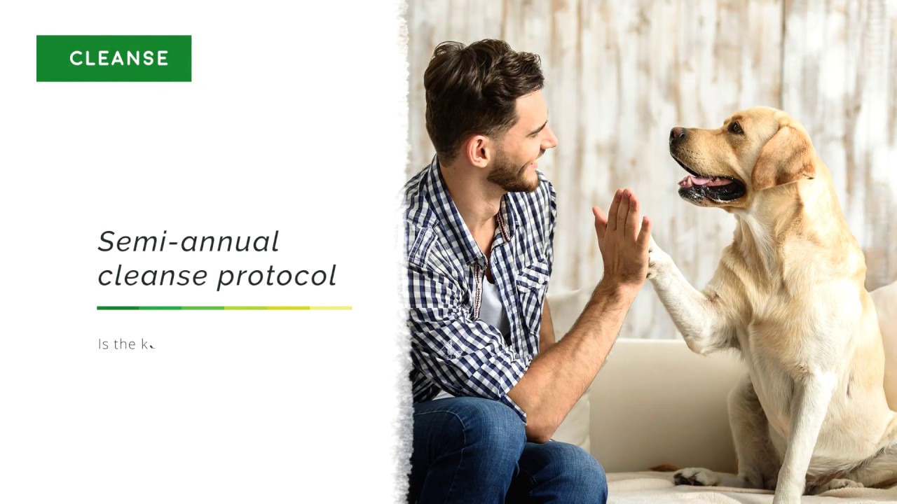 A Natural Cleanse Protocol to Keep Your Dog Healthy Dr. Peter Dobias