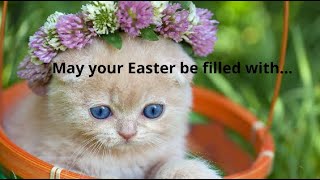 Cuteness Alert! Happy Easter Greetings and Message Video - Easter music video YouTube