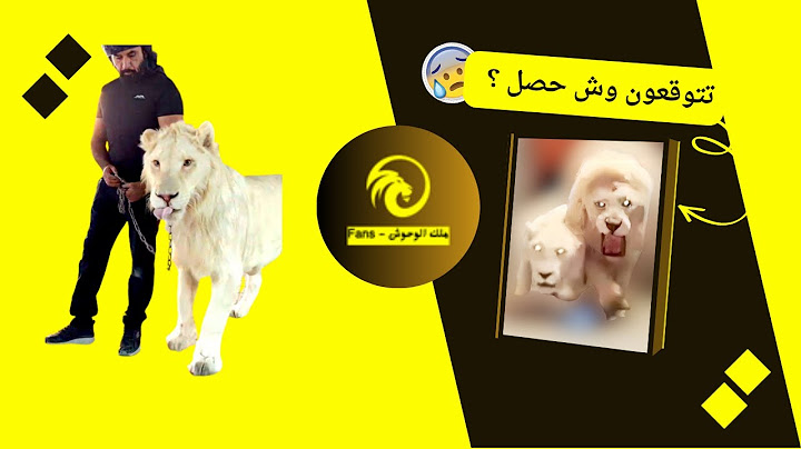 ١  -  فقرة إطعام الوحوش / مع ملك الوحوش ، تتوقعون طلع سليم من هالفيديو ؟ #ملك_الوحوش #ترند #حيوانات