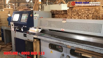 MÁY CƯA CẮT CHỌN LỰA - MÁY CẮT LOẠI BỎ MẮT GỖ - MÁY CƯA CẮT KHUYẾT TẬT SC 303 - MÁY XỬ LÝ PHÔI THÔ