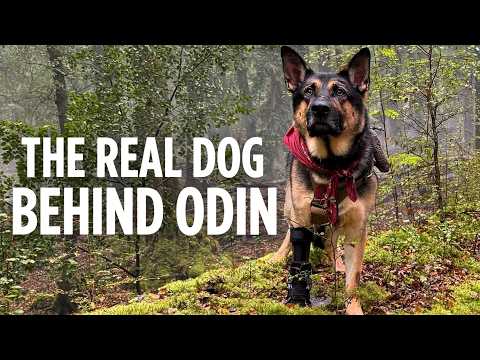Heart of the Beast | How Uber Became Odin | Behind the Scenes
