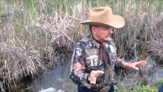 FWC Commissioner Ron Bergeron on python threat