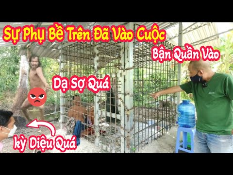 Video Kỳ Diệu Đã Có Sư Phụ. Trị Thánh Hung Dữ / Thuận Phạm... - youtube
