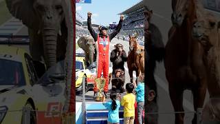 monkey race champion #animals #monkey #shorts