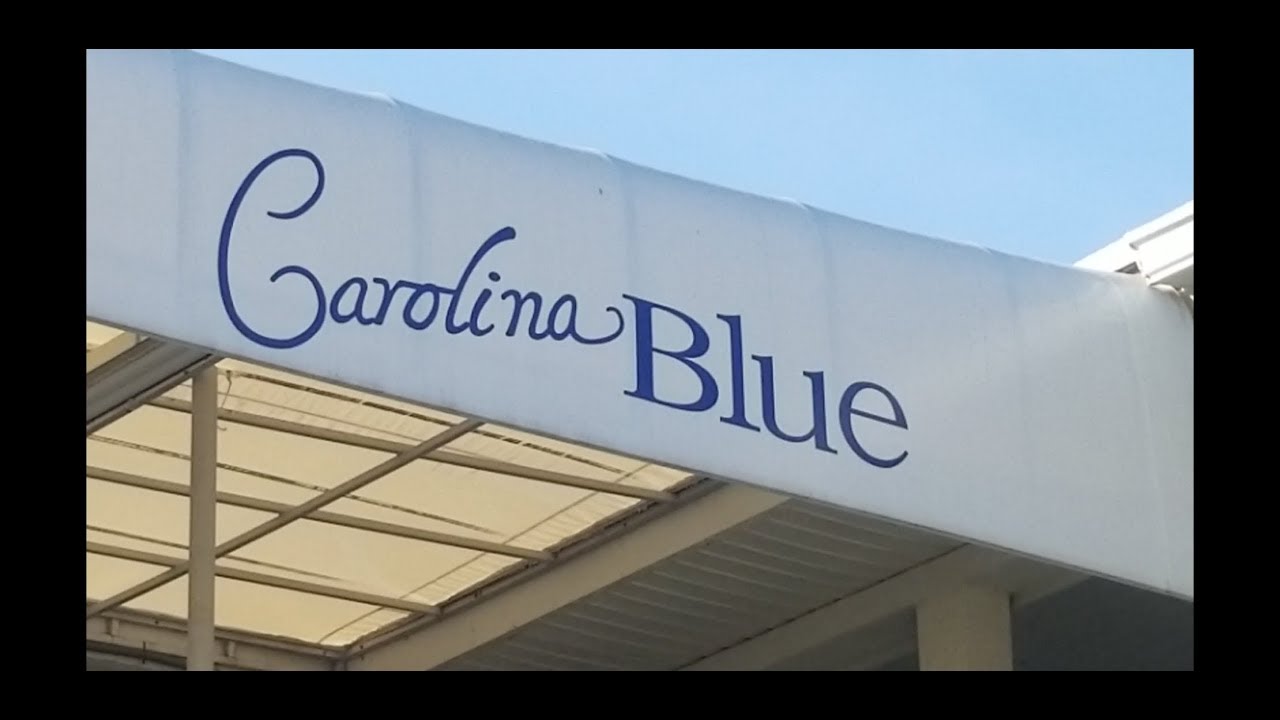 Carolina Blue Condos in Cherry Grove SC YouTube