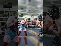 floyd mayweather sparring