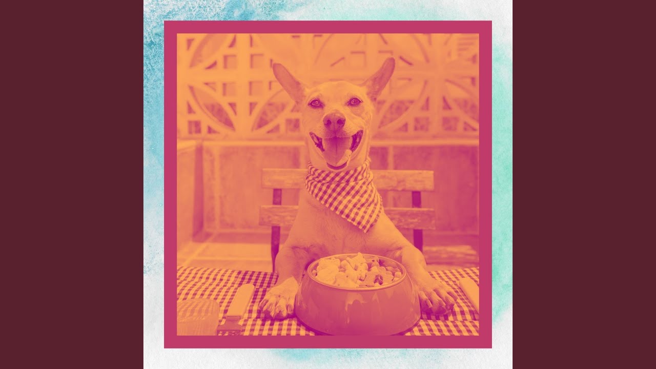 Retro Music for Relaxing Your Dog