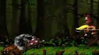 Donkey Kong Country 2 Snes Kudgels Kontest